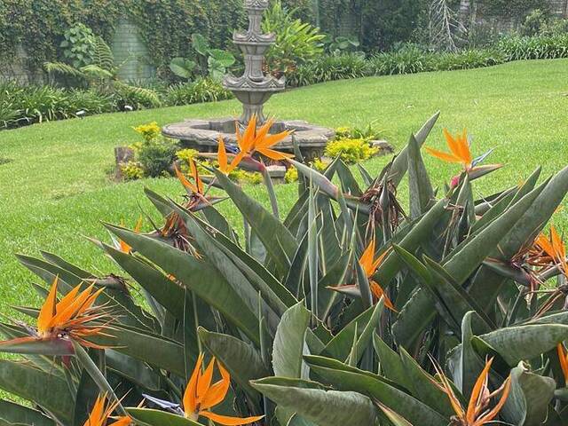 #401 - Casa para Venta en Ciudad de Guatemala - Guatemala - 1